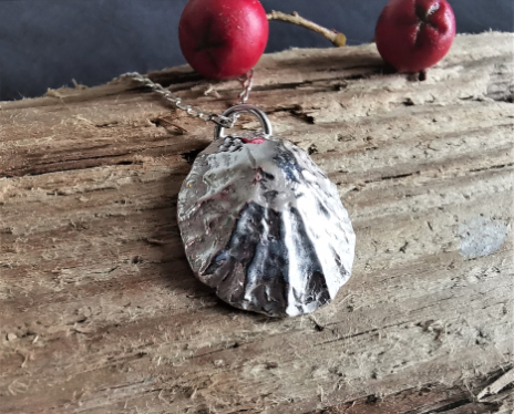 Fine silver limpet shell on driftwood
